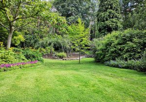Optimiser l'expérience du jardin à Beauvallon